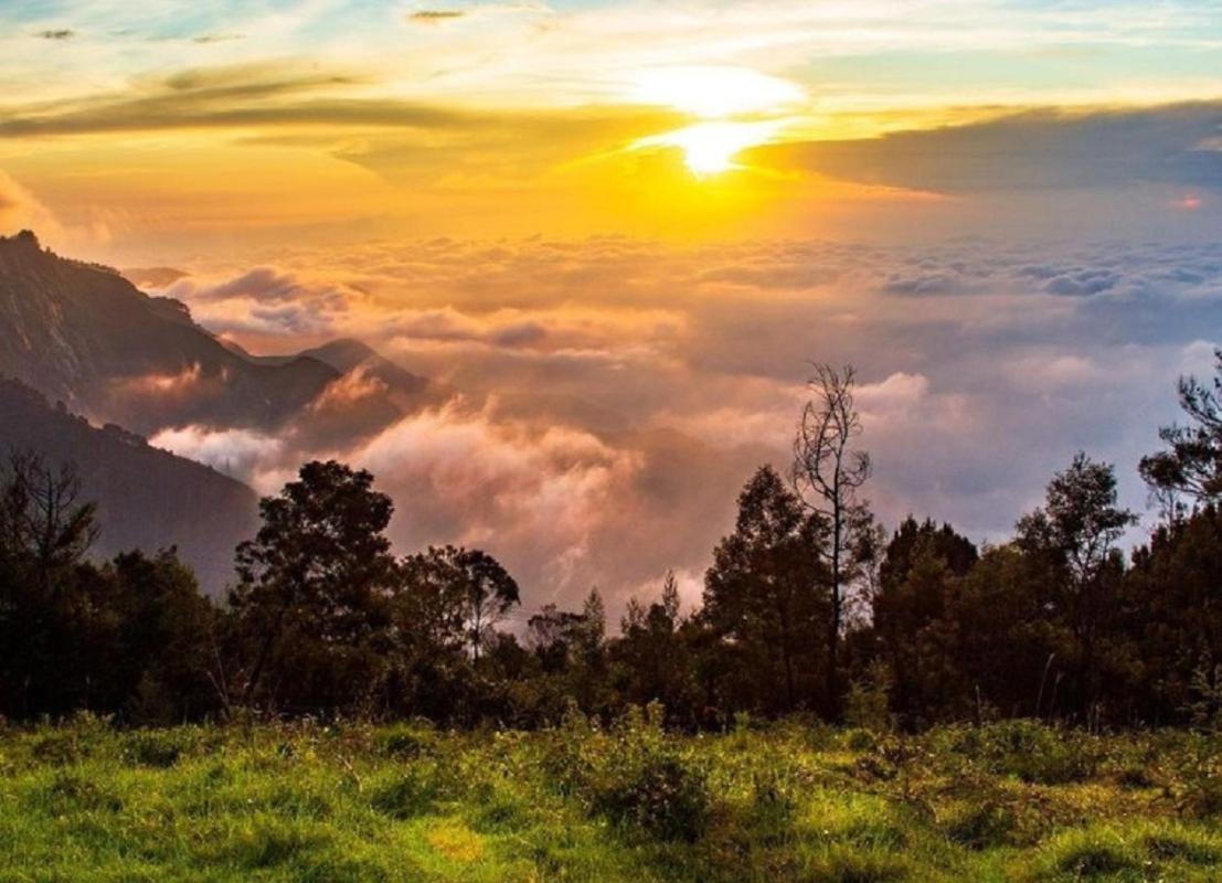 Bed and Breakfast Cloud Walk Tamilnadu - Tamilnadu - Kodaikanal Esterno foto