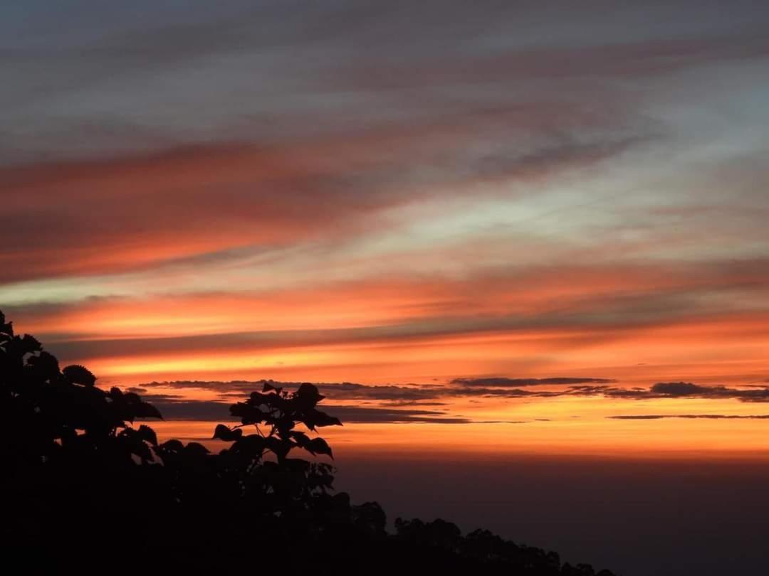 Bed and Breakfast Cloud Walk Tamilnadu - Tamilnadu - Kodaikanal Esterno foto