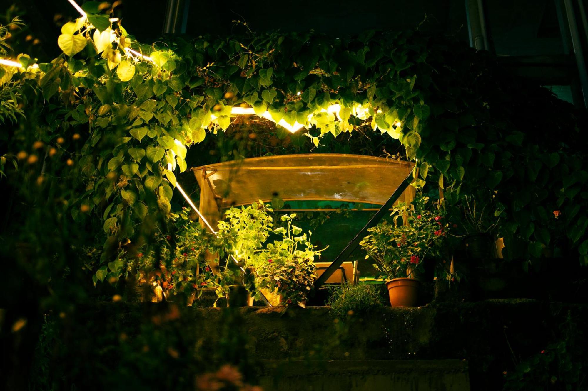 Bed and Breakfast Cloud Walk Tamilnadu - Tamilnadu - Kodaikanal Esterno foto